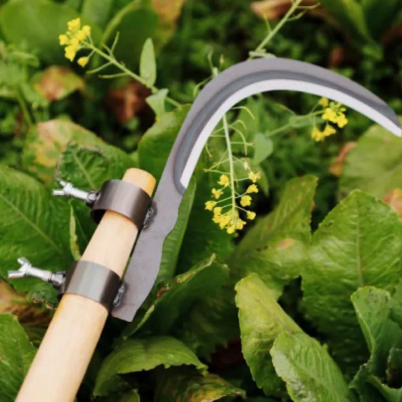 AgroTool, Ág-, Gyom-, Tüske- és Növényvágó - Image 5