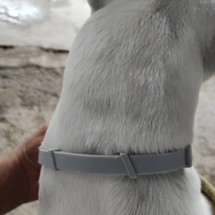 AnimalProtect, kullancs- és bolhanyakörv kutyáknak - Image 2