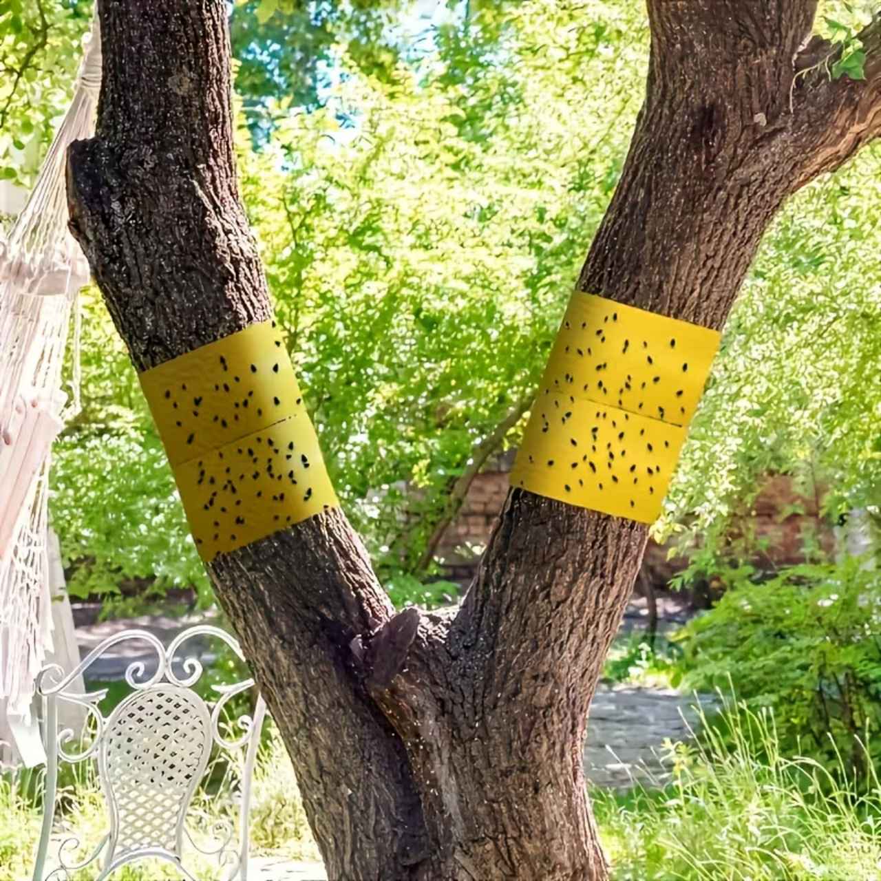 BarrierTape, ragasztószalag rovarok befogására - Image 3