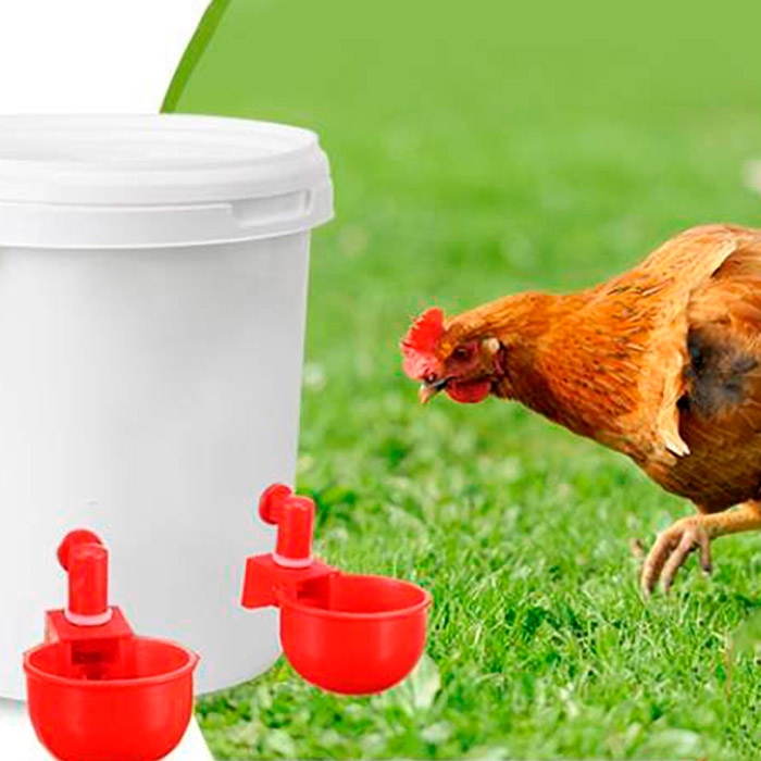 ChickenBowl, itató tyúkok és más baromfik számára (6 db) - Image 8