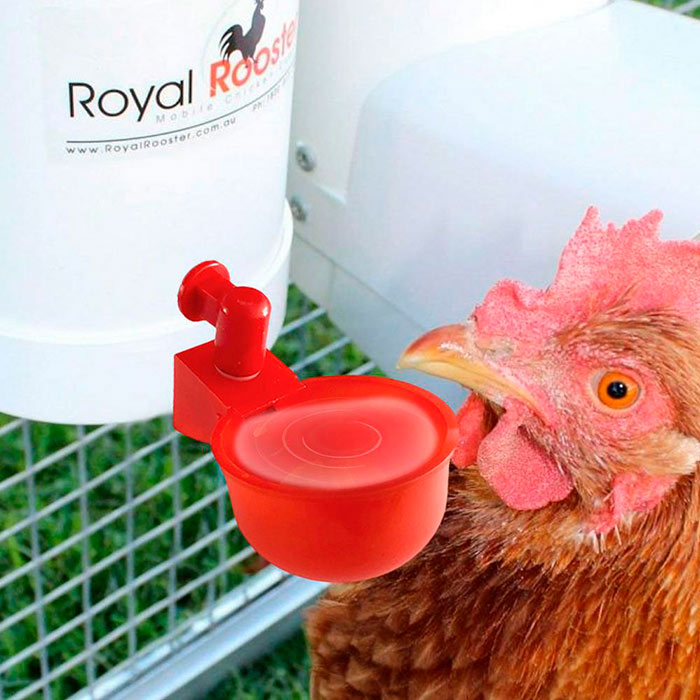 ChickenBowl, itató tyúkok és más baromfik számára (6 db) - Image 9