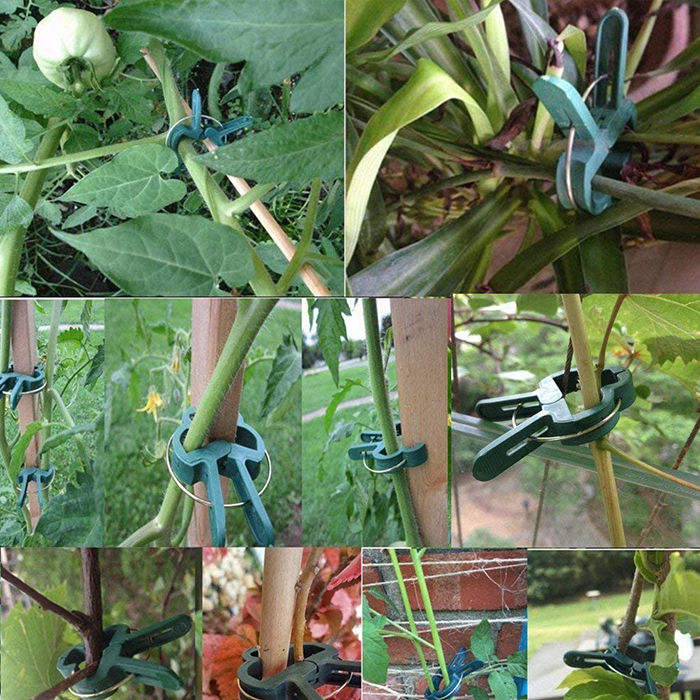 ClampsGarden, hasznos és tartós kapcsok különféle kül- és beltéri növényekhez (20 db) - Image 5