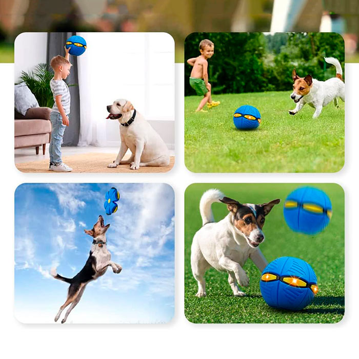 DiskBall, egy játék kutyáknak, ami egyszerre frizbi és labda - Image 7