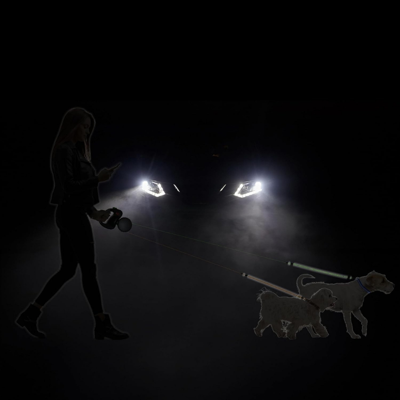 DoubleLeash, visszahúzható póráz két kutyának - Image 9