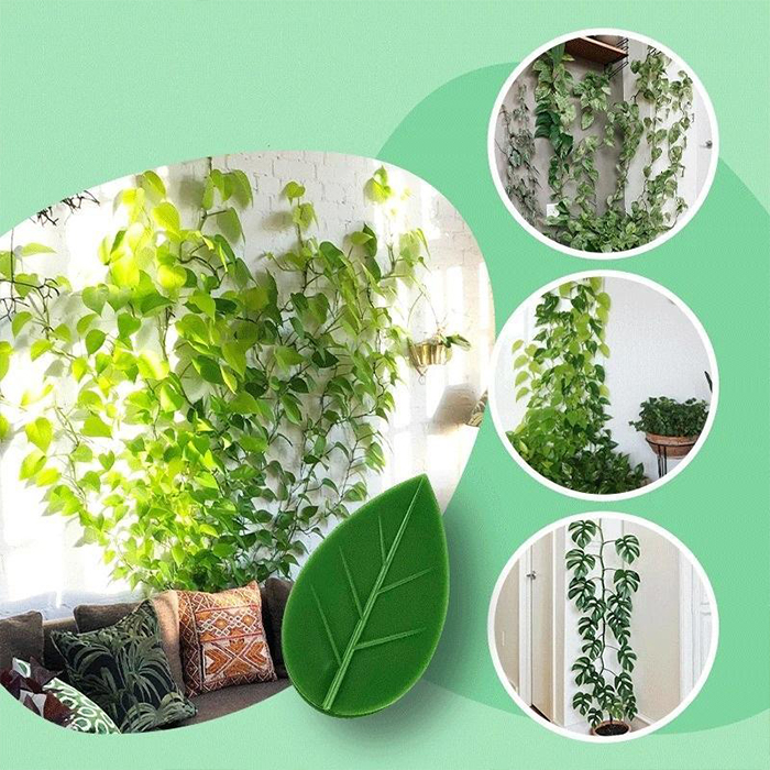 FixtureClips, 10 + 10 INGYENES öntapadó tartó növényekhez, ágakhoz - fúrás nélkül! - Image 6