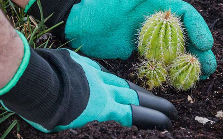 Gardenstar, kerti kesztyű műanyag karmokkal - Image 2