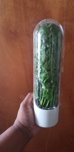 HerbFresh, tárolódoboz a fűszereknek és friss ételeknek - Image 10