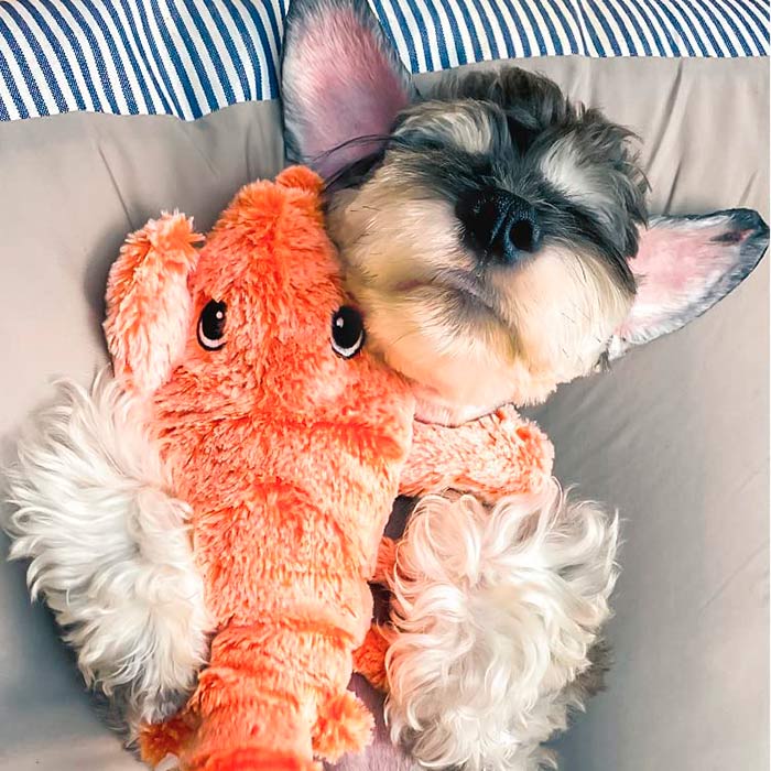 LobsterToy, egy interaktív háziállat játék, homár alakban - Image 3