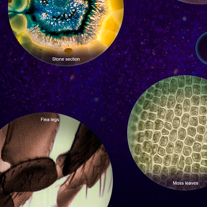 MicroscopeKit, hordozható mikroszkóp gyermekeknek - Image 9