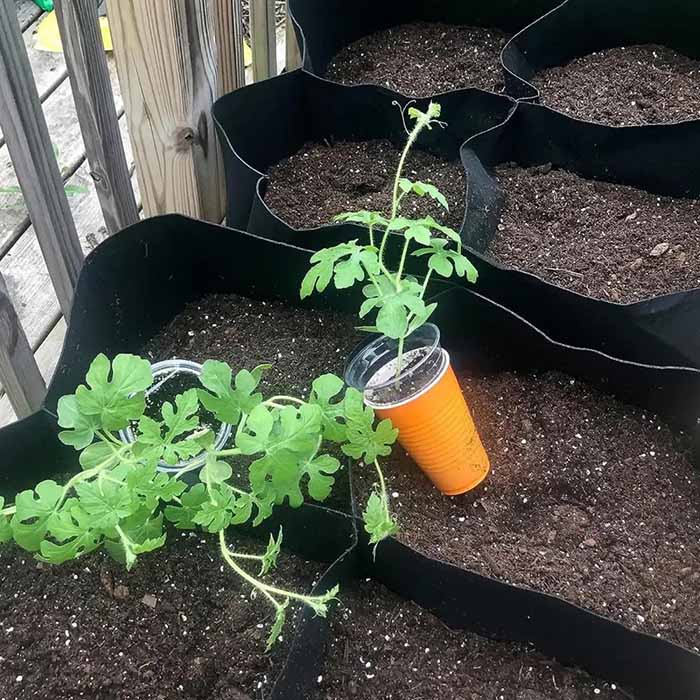 Pocket4Garden, hordozható kertágyás 4 különálló rekesszel - Image 6