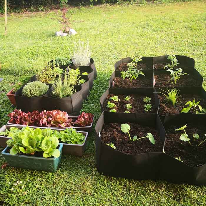 RaisedGarden, hordozható kerti ágyás 8 különálló rekesszel - Image 4