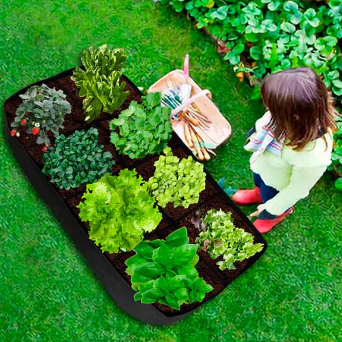 RaisedGarden, hordozható kerti ágyás 8 különálló rekesszel - Image 5