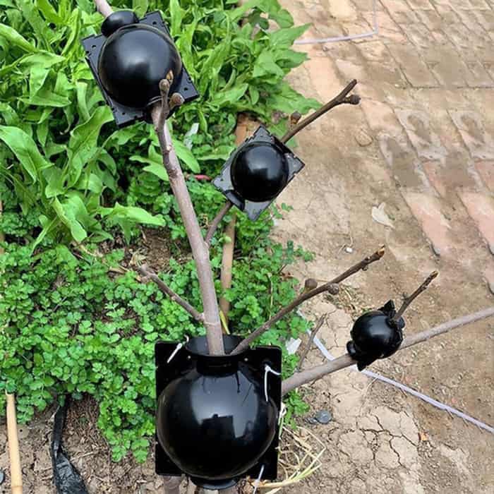 RootBall, a növények sikeres klónozásának eszköze (2 db) - Image 2