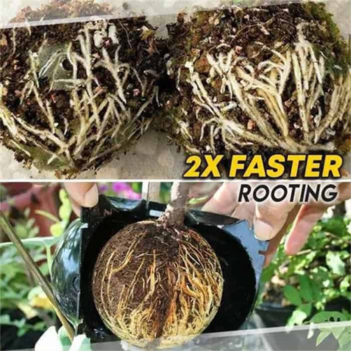 RootBall, a növények sikeres klónozásának eszköze (2 db) - Image 8