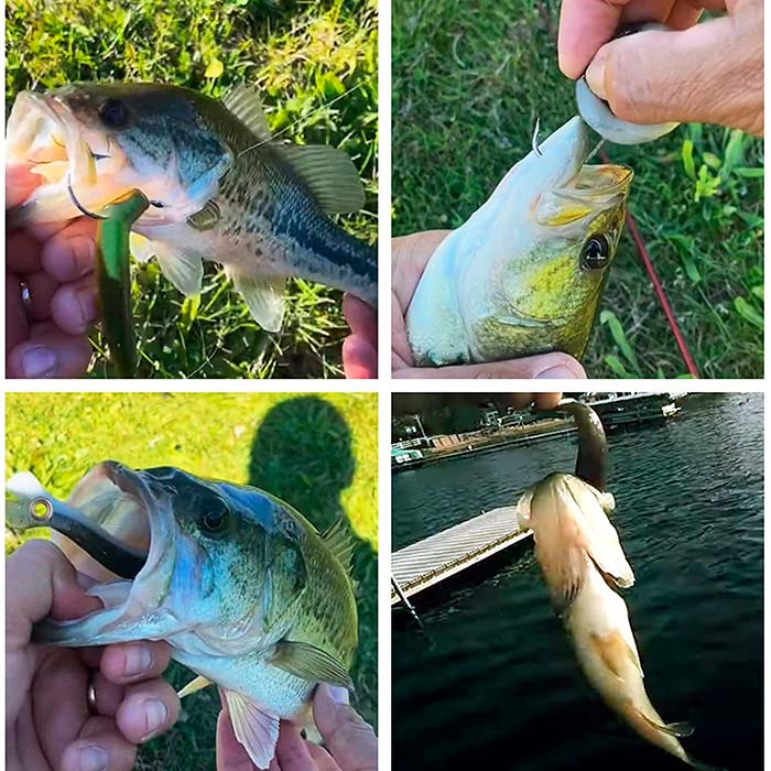 SoftLures, halcsali (5 db) - Image 6