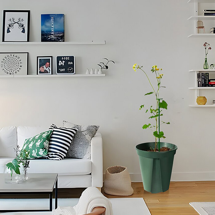 SupportPlant, növénytámogatás (10+10 INGYEN) - Image 3
