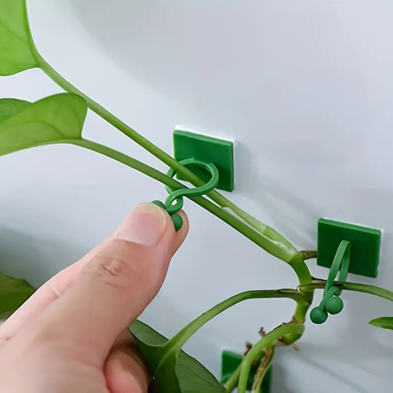 Vines, öntapadós növénytartók és mászók (100 darab) - Image 3