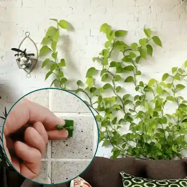 Vines, öntapadós növénytartók és mászók (100 darab) - Image 9